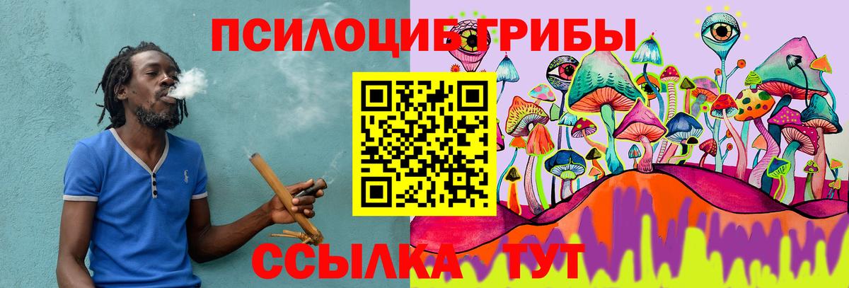 Псилоцибиновые грибы Psilocybe  Вход с VPN  Псилоцибиновые грибы мухоморы  Донецк 