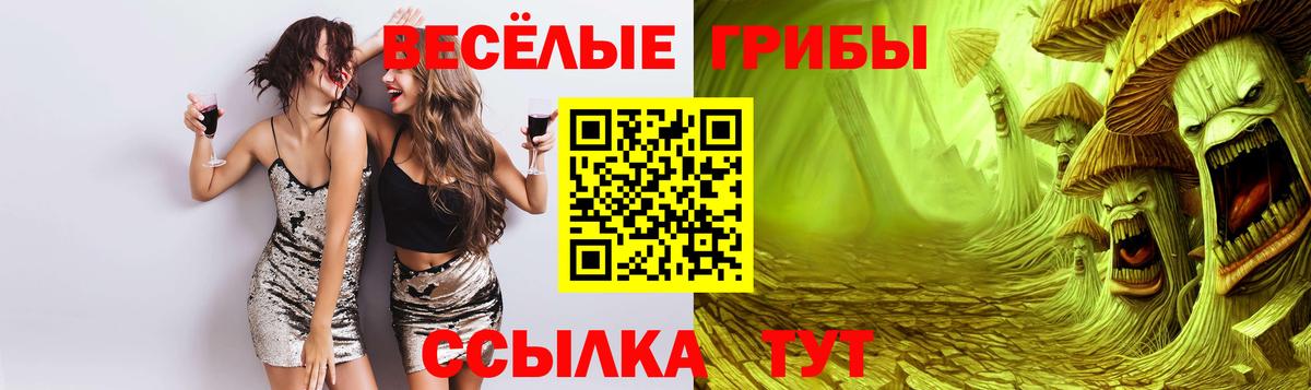 Псилоцибиновые грибы GOLDEN TEACHER Донецк