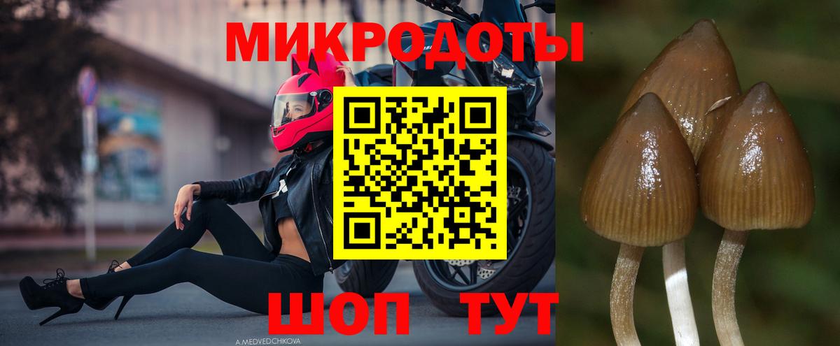 Псилоцибиновые грибы прущие грибы Донецк